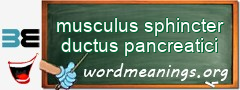 WordMeaning blackboard for musculus sphincter ductus pancreatici